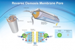 Hot Sale High TDS RO Membrane RO Membrane Home Use Commercial Use,Industry use 100GPD 200GPD 300GPD 400GPD 500GPD 800GPD 1000GPD High TDS Reverse Osmosis Membrane